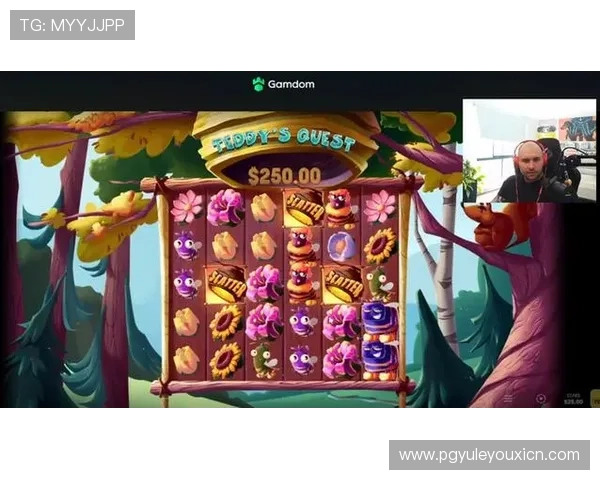 PG游戏库网页版常见问题解答与技巧分享帮助玩家解决使用中的疑难